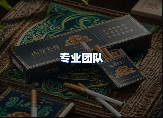 专业团队